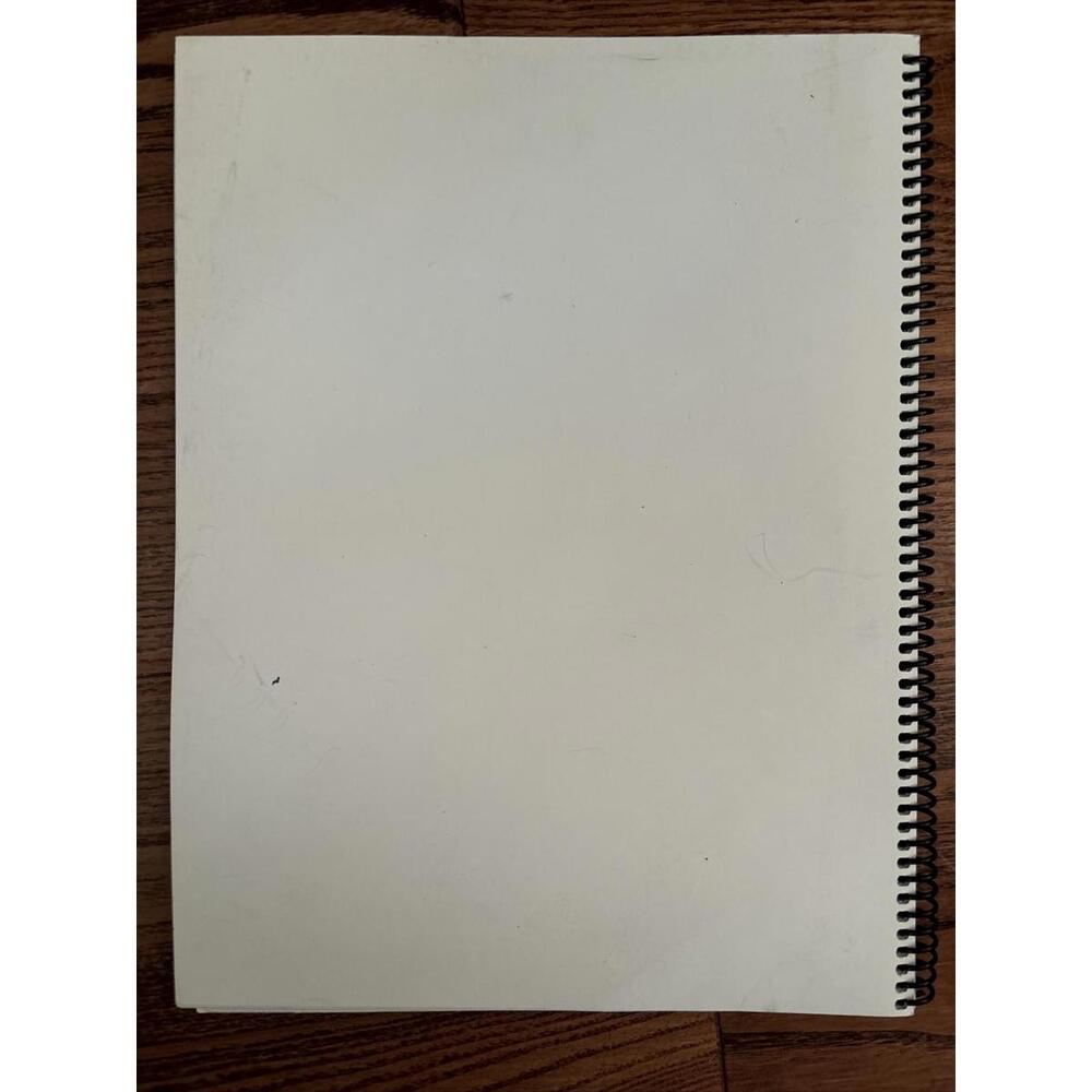 Vintage 2000 La Senza Holiday Celebration Spiral Softcover Notebook - Picture 3 of 14
